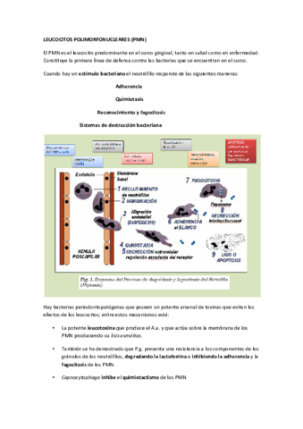 patogenia-enfermedad-periodontal.pdf