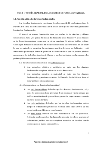 DERECHOS-FUNDAMENTALES.pdf