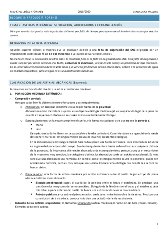 TEMA-7.pdf