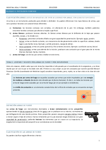 TEMA-6.pdf