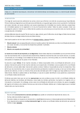 TEMA-13.pdf