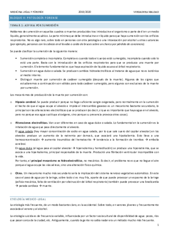 TEMA-8.pdf