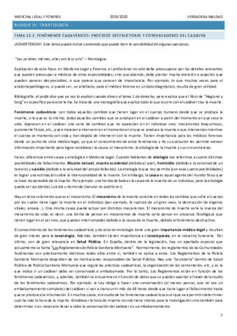 TEMA-13.pdf