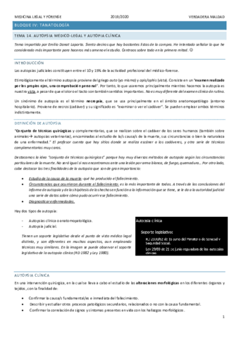 TEMA-14.pdf