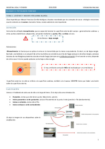 TEMA-5.pdf