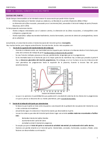 TEMA-11-causas-clinica-y-fases-del-parto.pdf