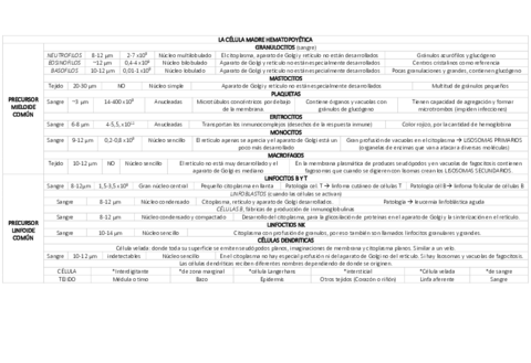 LA-CELULA-MADRE-HEMATOPOYETICATABLA.pdf