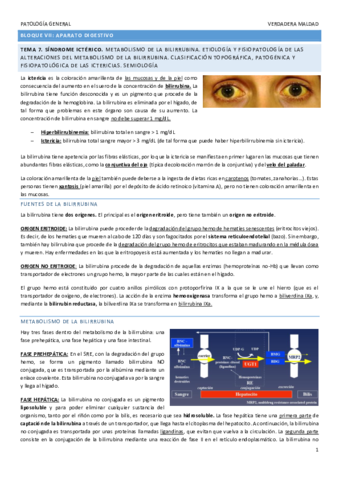 TEMA-7.pdf