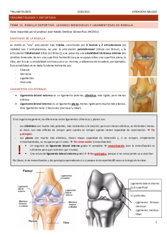 Tema-15.pdf