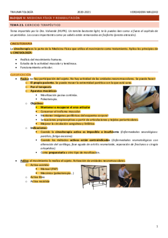 TEMA-23.pdf