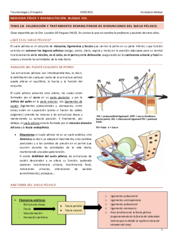 Tema-28.pdf