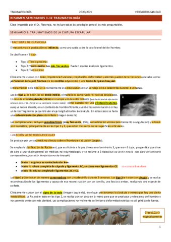 RESUMEN-SEMINARIOS-3-12-Dr.pdf