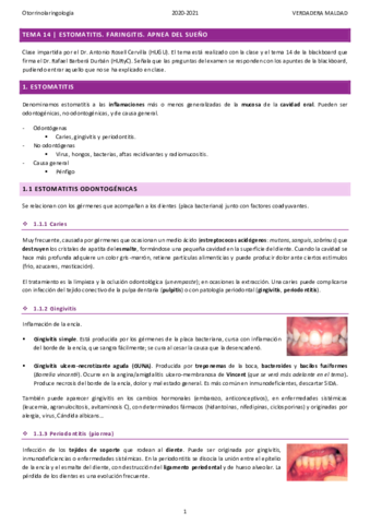 TEMA-14-ESTOMATITIS.pdf