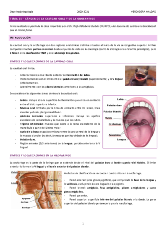 TEMA-15-CANCER-DE-LA-CAVIDAD-ORAL-Y-DE-LA-OROFARINGE.pdf