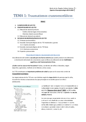 TEMA-1-neuropsico.pdf