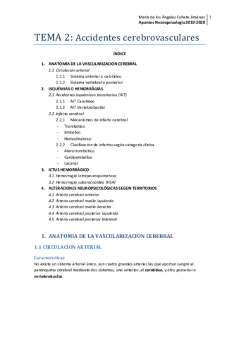 TEMA-2-neuropsico.pdf