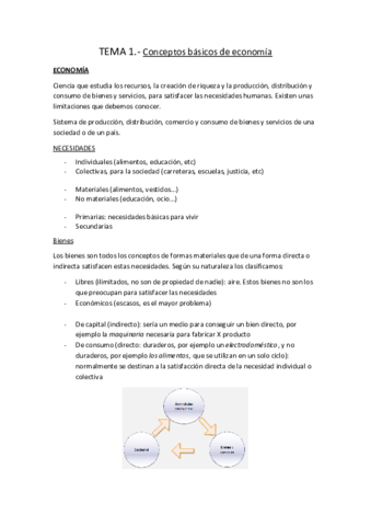 TEMA-1.pdf