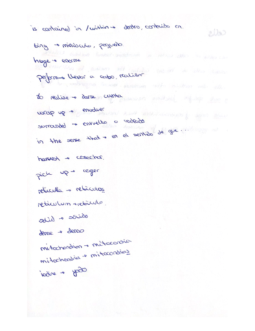 Vocabulario-3.pdf