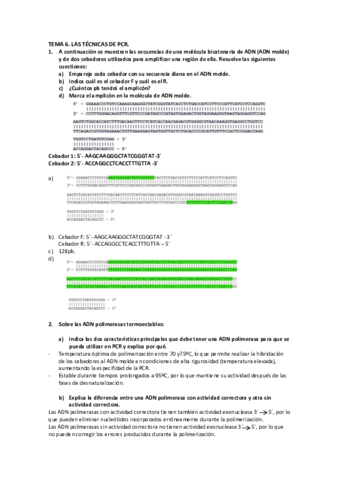 Tema-6-BMC-Actividades.pdf