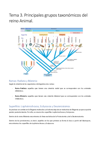 Tema-3.pdf