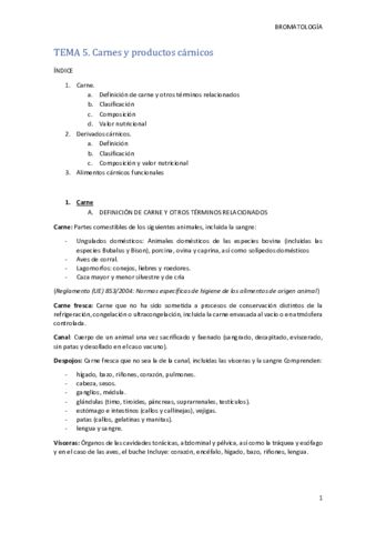 Tema-5-BROMA.pdf