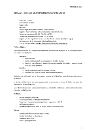 Tema-21-MICRO.pdf