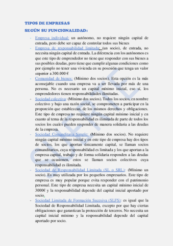 TIPOS-DE-EMPRESAS-.pdf