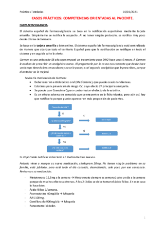 COMPETENCIAS-ORIENTADAS-AL-PACIENTE.pdf
