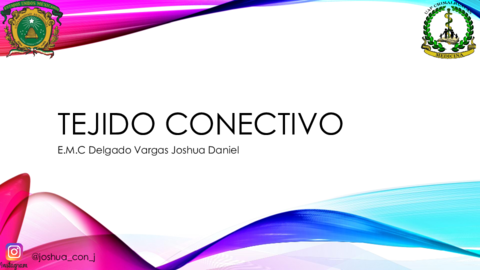 TEJIDO-CONECTIVO.pdf