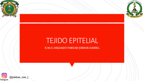 TEJIDO-EPITELIAL.pdf