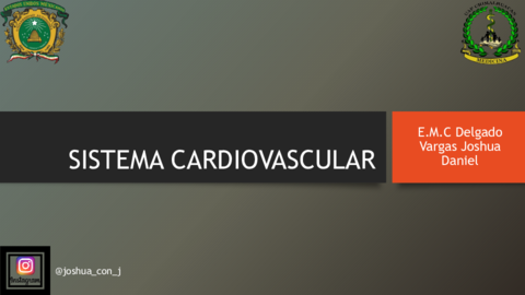 SISTEMA-CARDIOVASCULAR.pdf