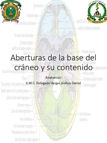 Aberturas-de-la-base-del-craneo-y-su-contenido-v.pdf