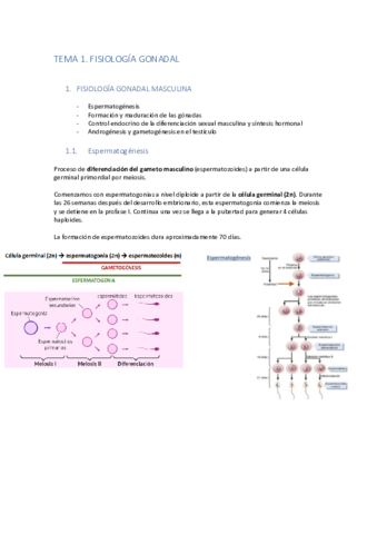 Tema-1.pdf