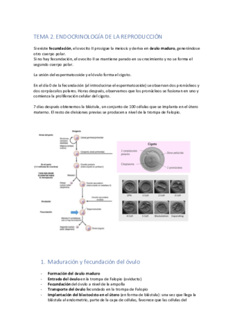 Tema-2.pdf