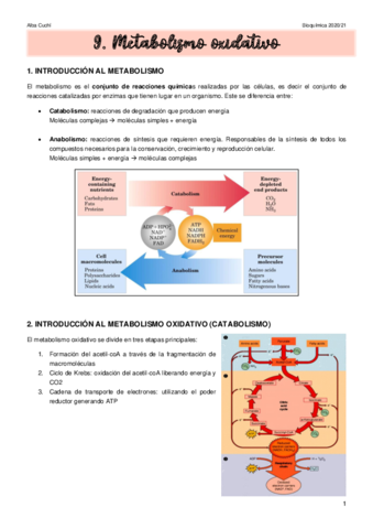 bioq-2.pdf