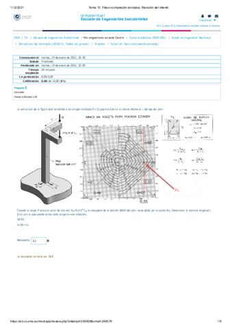 Tema-10-Fleco-compresion-enviada-Revision-del-intento.pdf