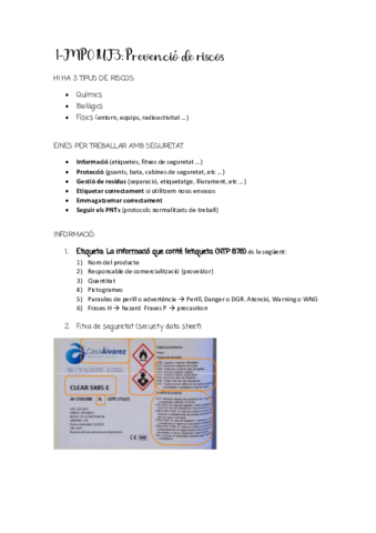 Riscos-TOT-EL-TEMARI.pdf