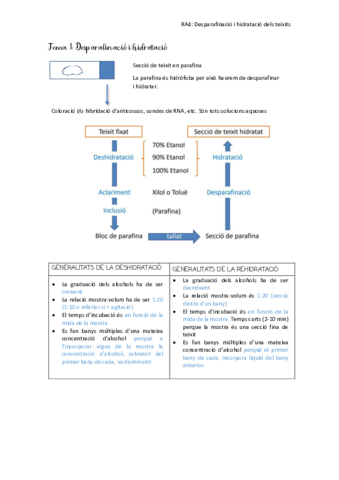 PROCESSAMENT-RA4.pdf