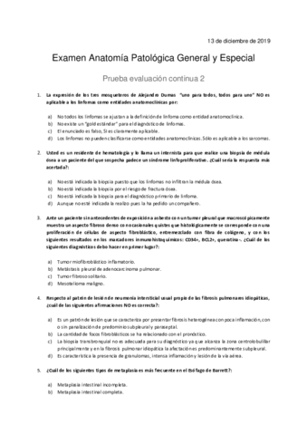 Examen-parcial-AP-13-de-diciembre-de-2019-Blanco.pdf
