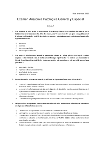 Examen-AP-13-de-enero-de-2020-Blanco.pdf