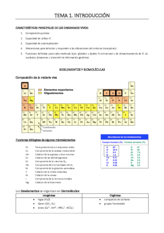 bioquimica.pdf