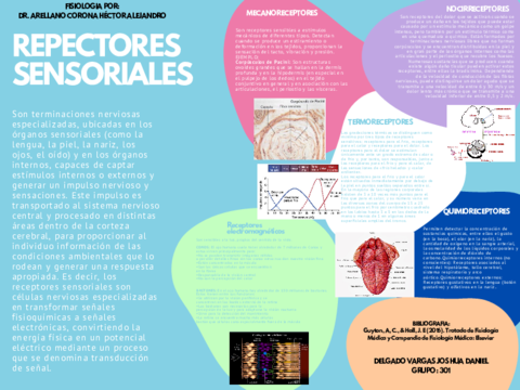 DELGADO-VARGAS-JOAHUA-DANIEL-301-Receptores-Sensoriales.pdf