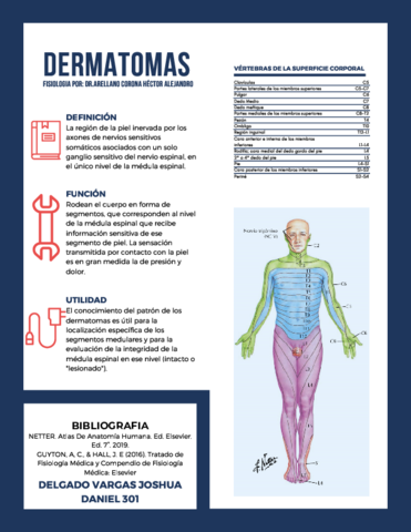 DELGADO-VARGAS-JOSHUA-DANIEL-301-Dermatomas.pdf