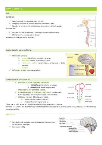 TEMA-6.pdf