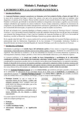 APUNTES-1er-CUATRI.pdf