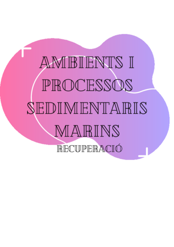 AMBIENTS-I-PROCESSOS-SEDIMENTARIS-MARINS-3.pdf