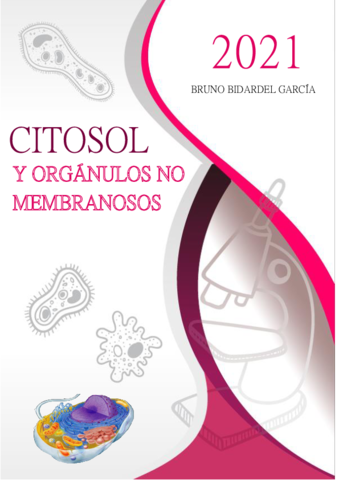 Organulos-no-membranosos.pdf