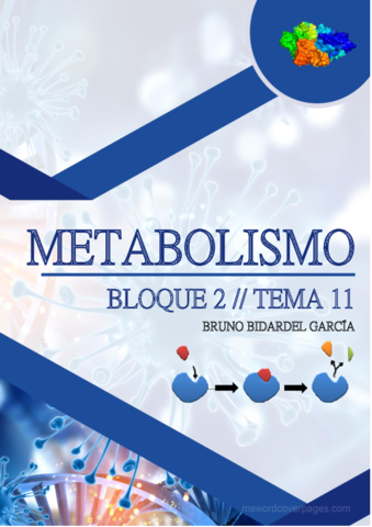 Metabolismo-general.pdf