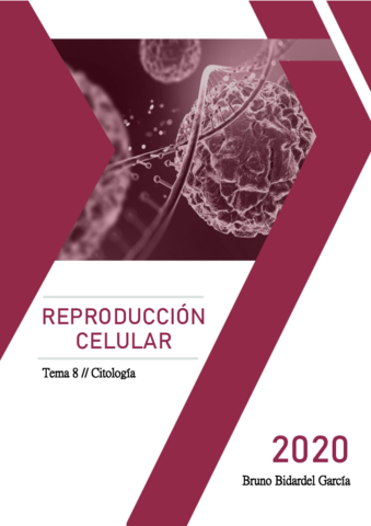 Ciclo-celular-y-replicacion.pdf