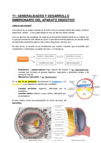 T1-EMB-GENERAL-Y-AP-DIGESTIVO.pdf